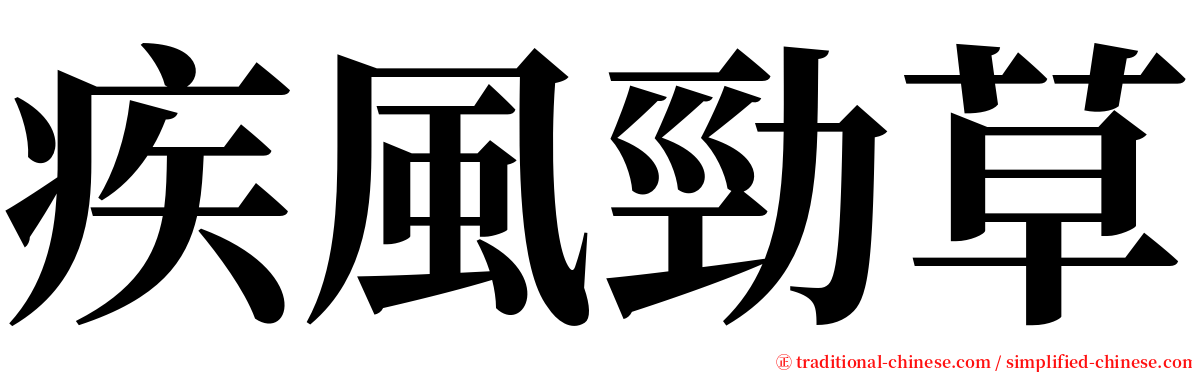 疾風勁草 serif font