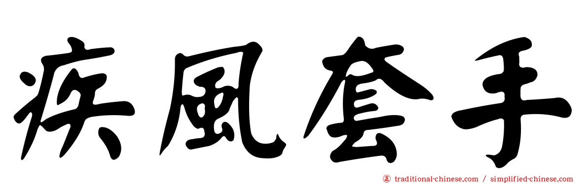 疾風套手