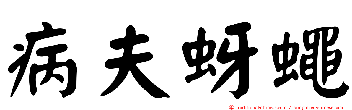 病夫蚜蠅