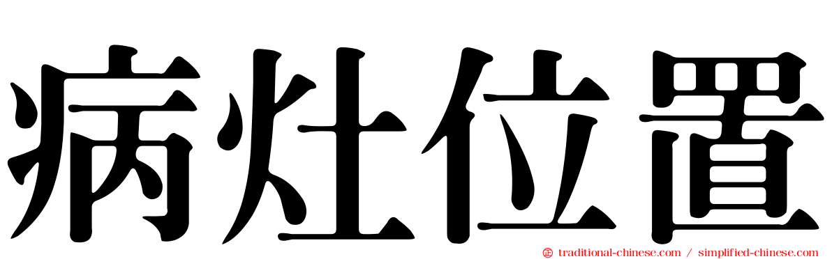 病灶位置