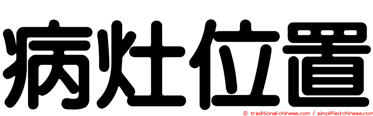 病灶位置