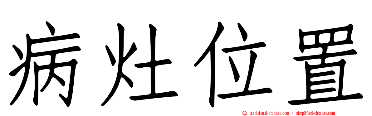 病灶位置