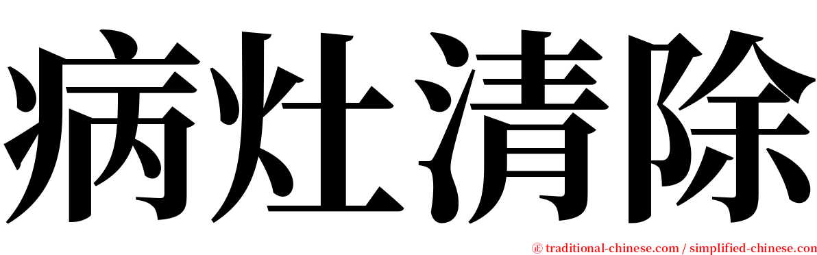 病灶清除 serif font
