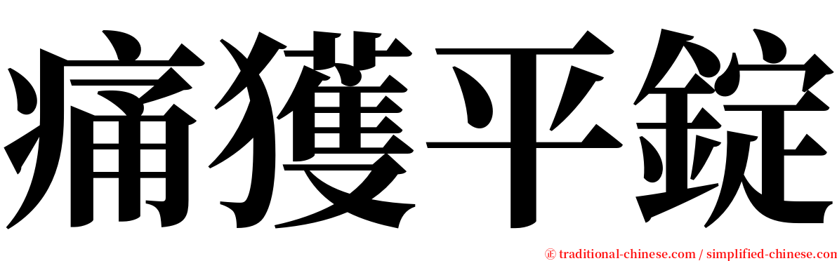 痛獲平錠 serif font