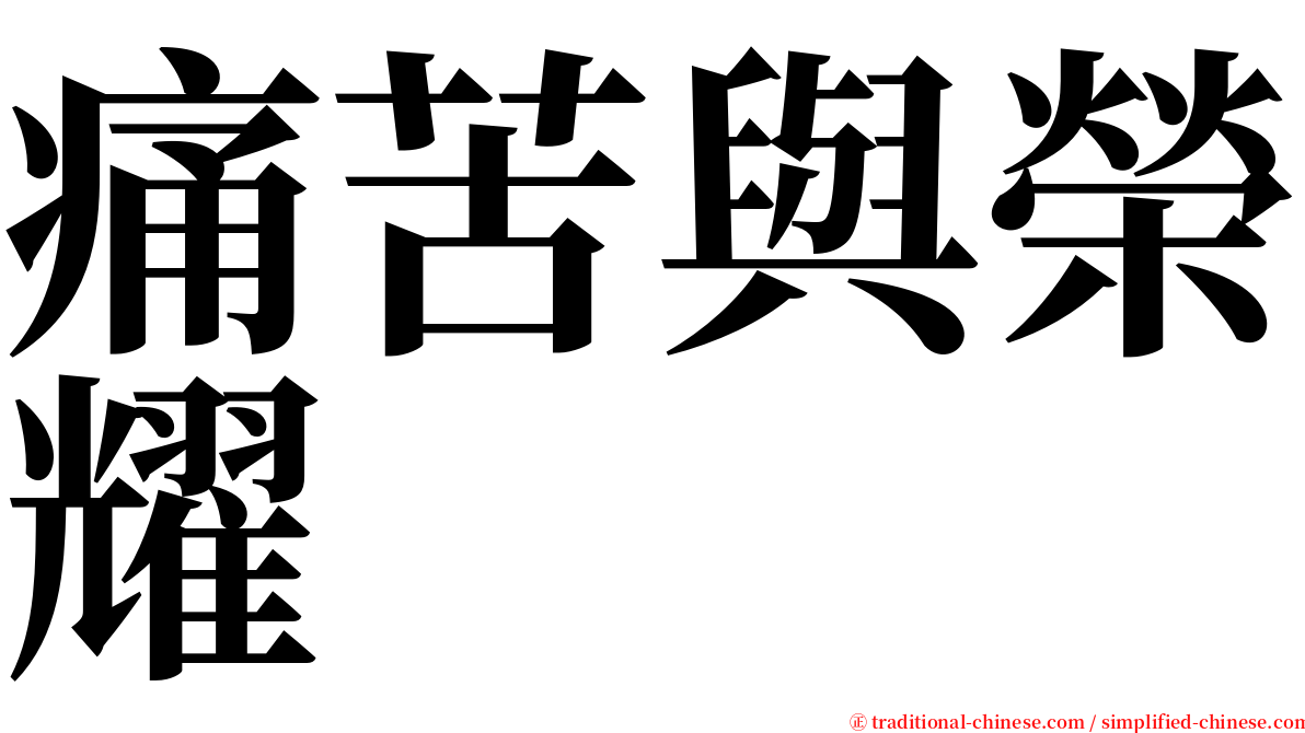 痛苦與榮耀 serif font