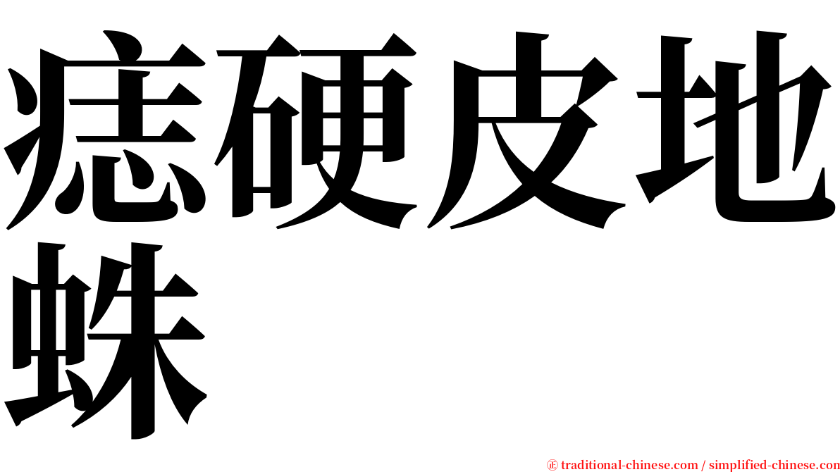 痣硬皮地蛛 serif font