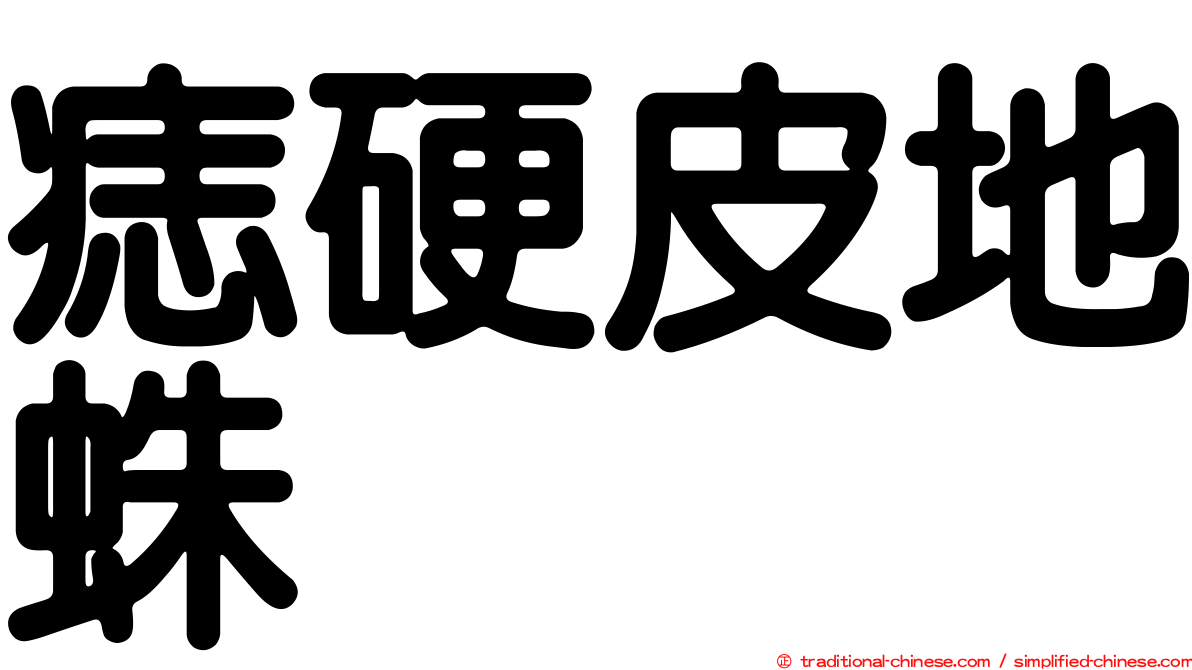 痣硬皮地蛛