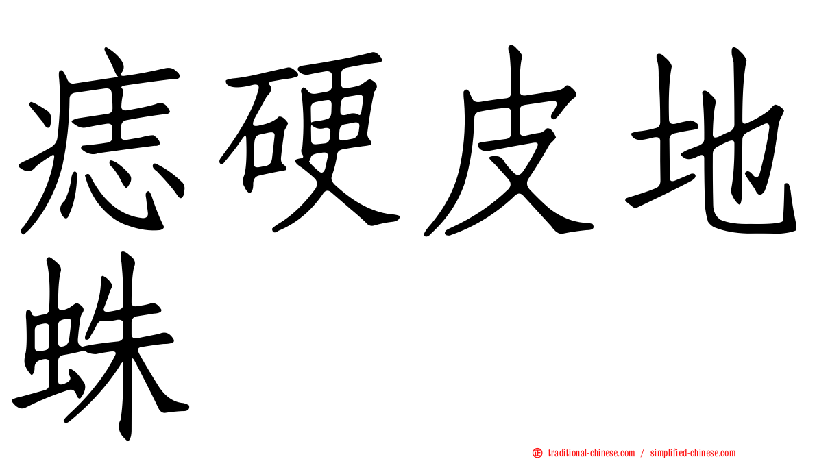 痣硬皮地蛛