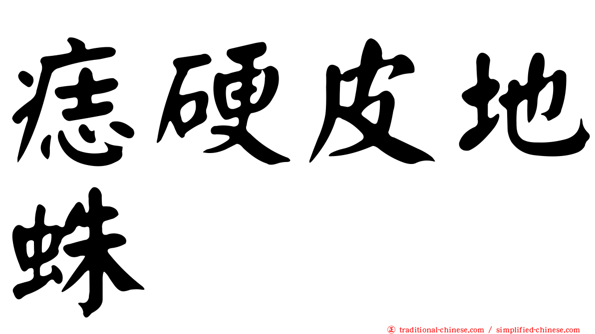 痣硬皮地蛛