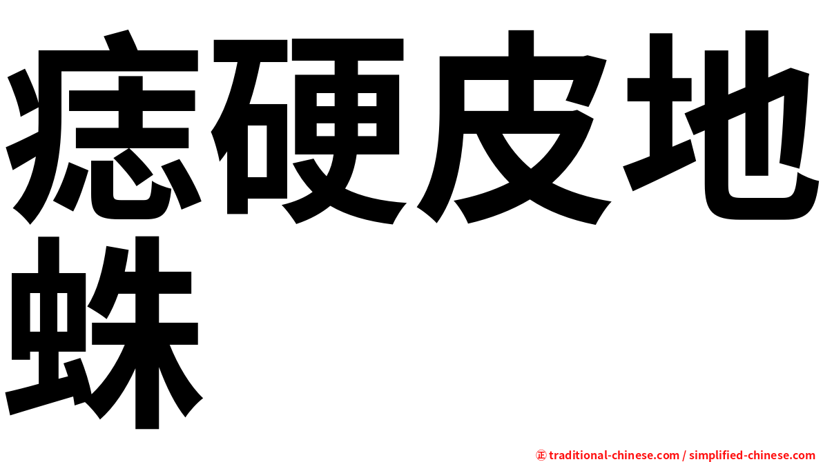 痣硬皮地蛛