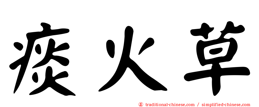 痰火草