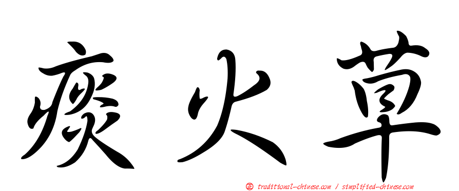 痰火草