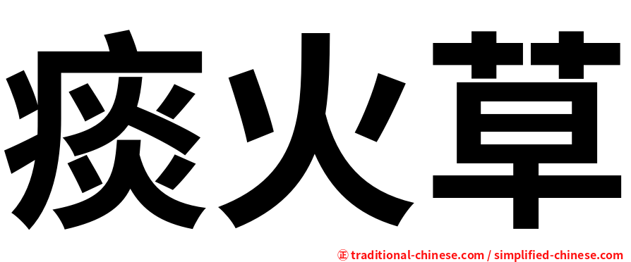 痰火草