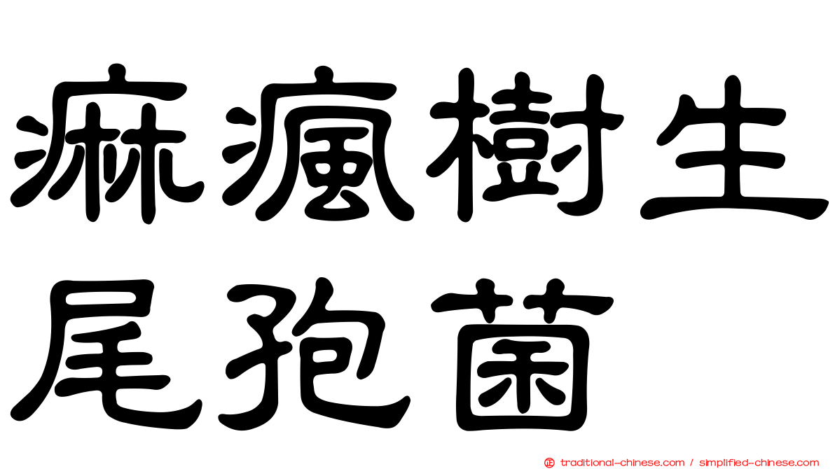 痲瘋樹生尾孢菌