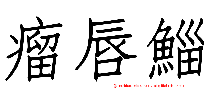 瘤唇鯔