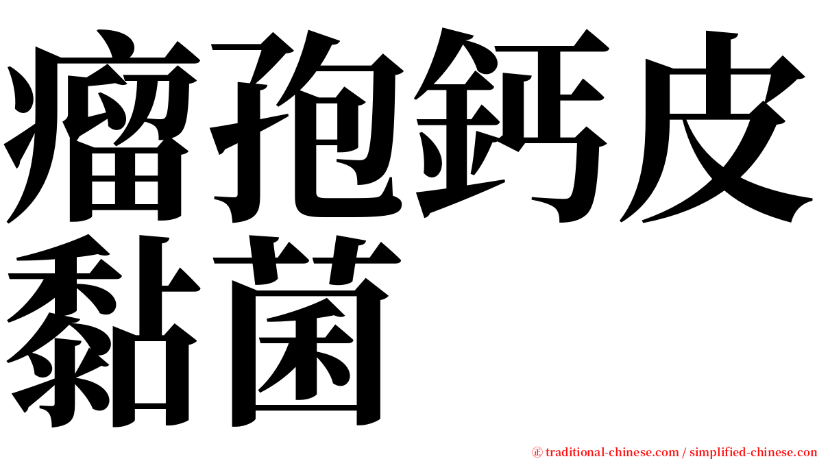 瘤孢鈣皮黏菌 serif font