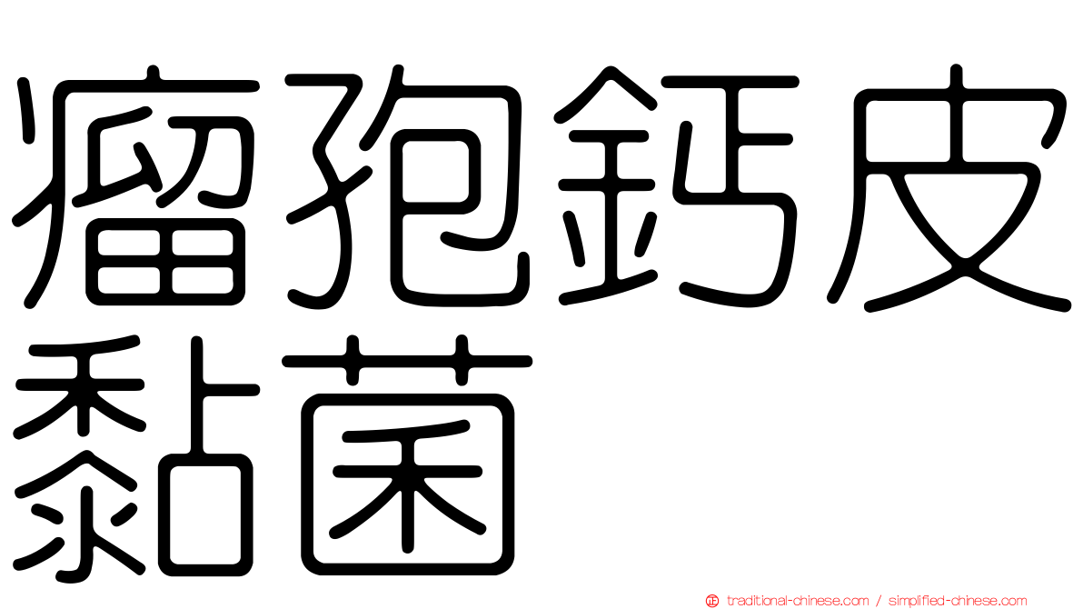 瘤孢鈣皮黏菌