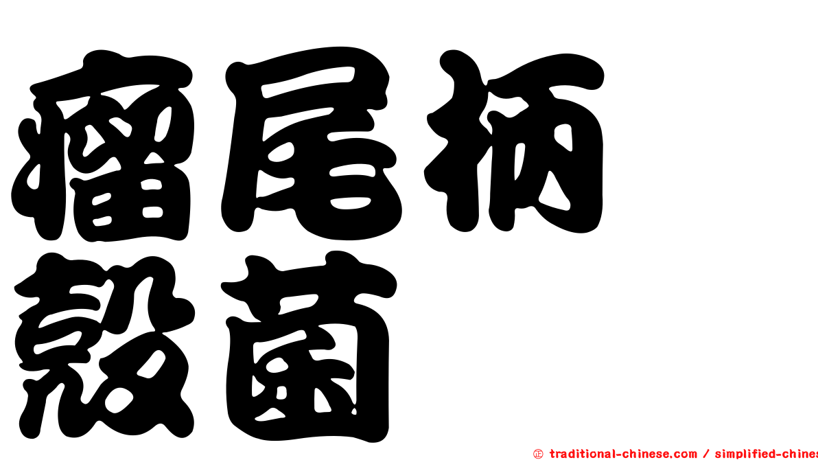 瘤尾柄孢殼菌