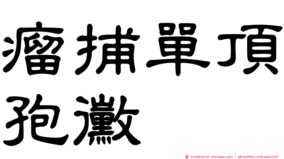 瘤捕單頂孢黴