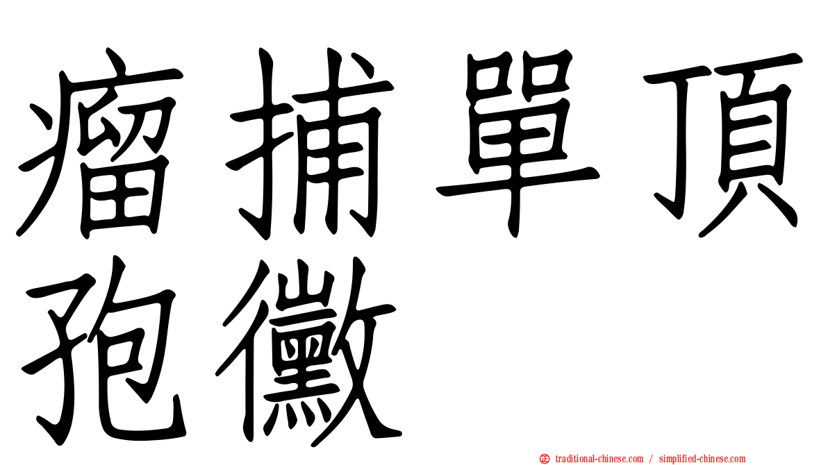 瘤捕單頂孢黴