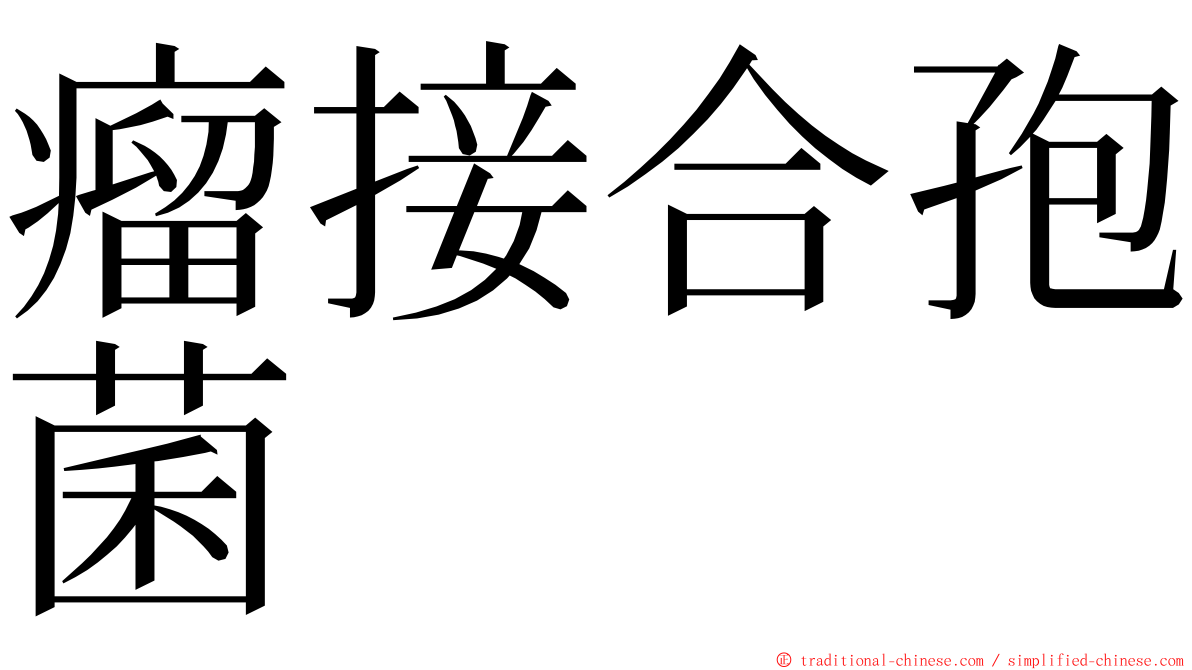 瘤接合孢菌 ming font