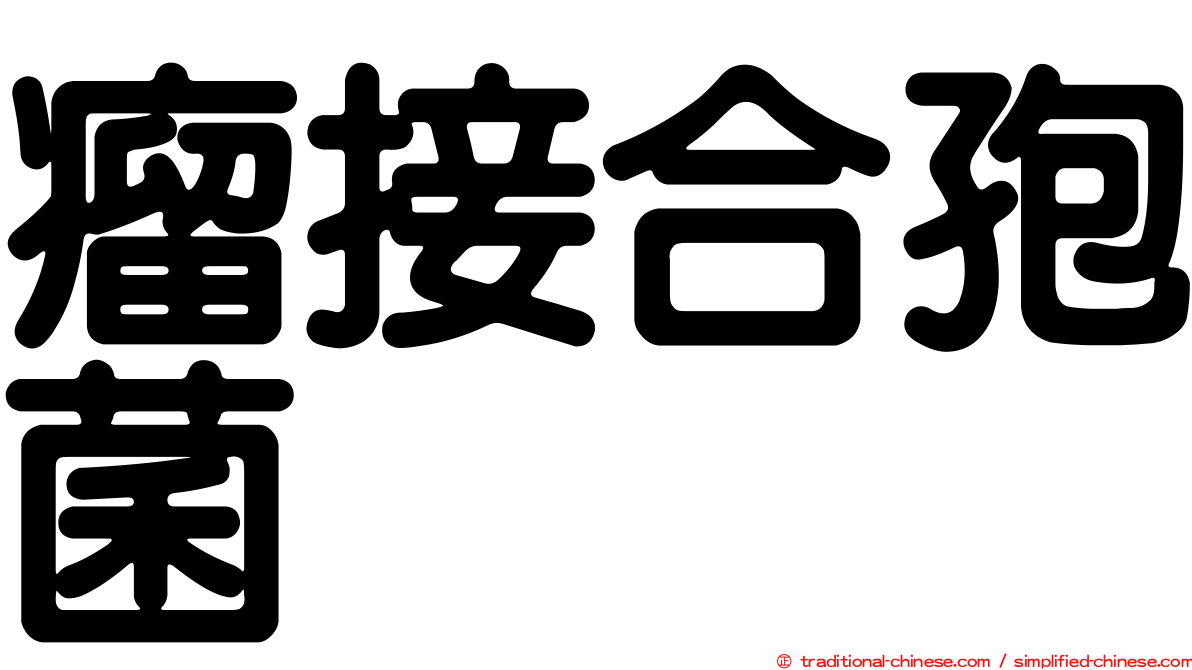 瘤接合孢菌