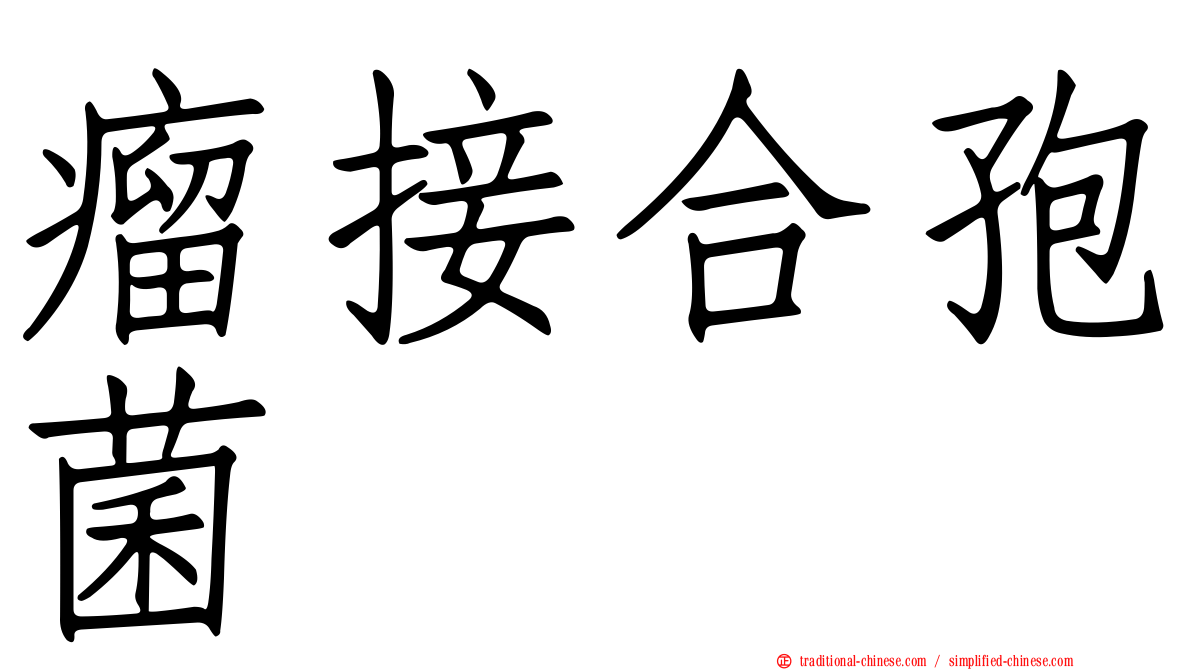 瘤接合孢菌