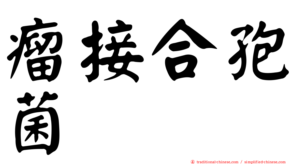 瘤接合孢菌