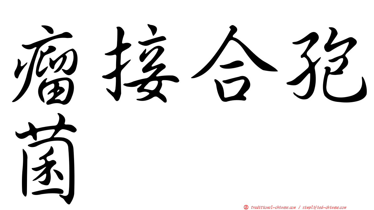 瘤接合孢菌