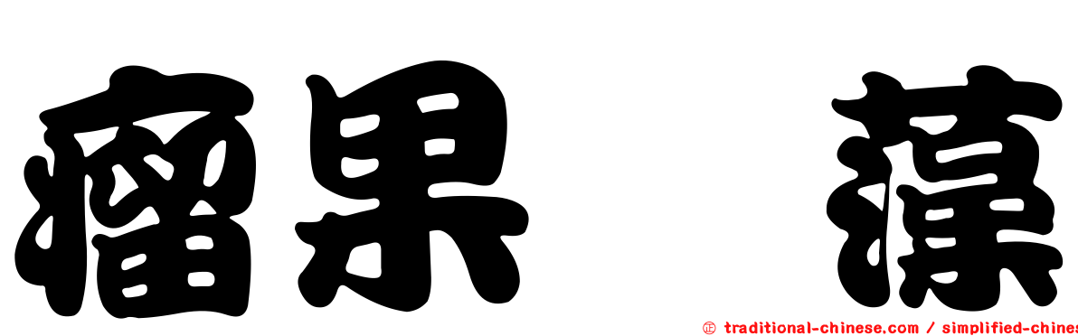 瘤果簀藻