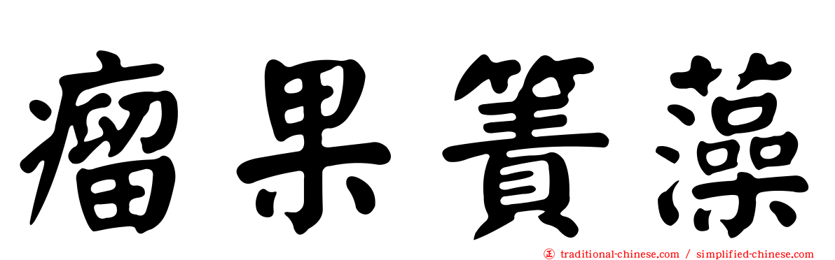 瘤果簀藻