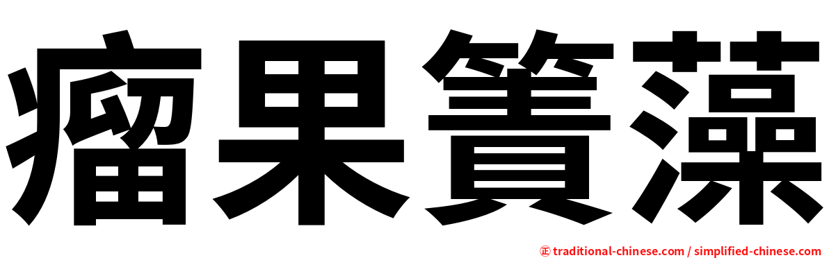 瘤果簀藻