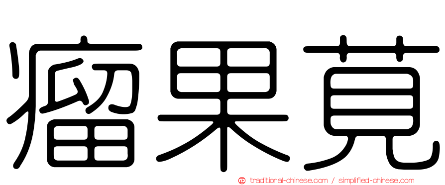 瘤果莧