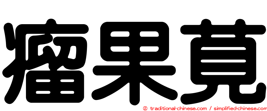 瘤果莧