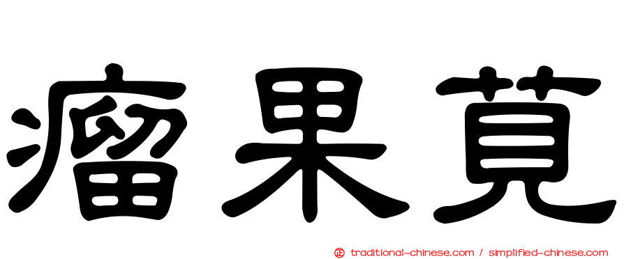 瘤果莧
