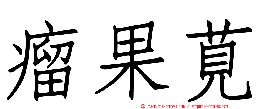 瘤果莧