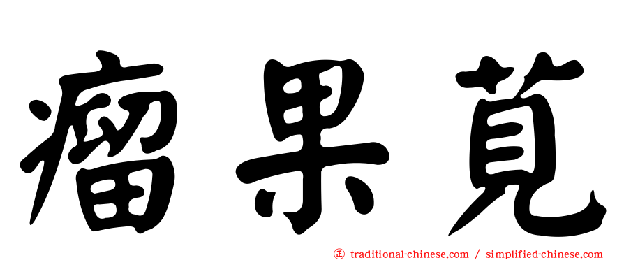 瘤果莧