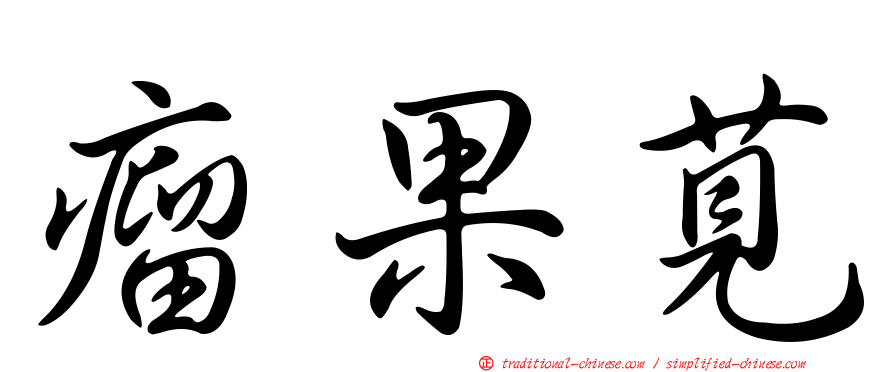 瘤果莧