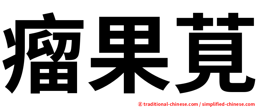 瘤果莧