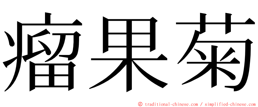 瘤果菊 ming font
