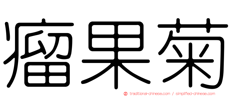 瘤果菊