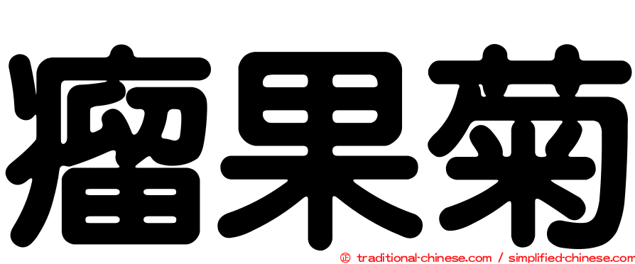 瘤果菊