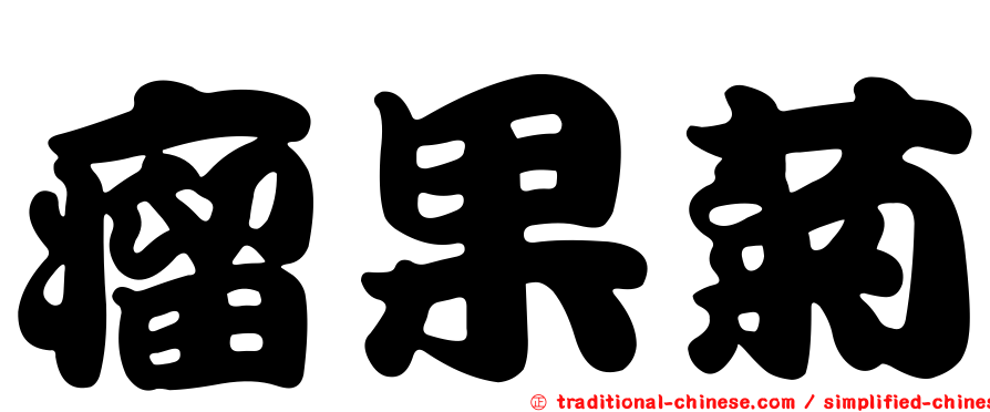 瘤果菊