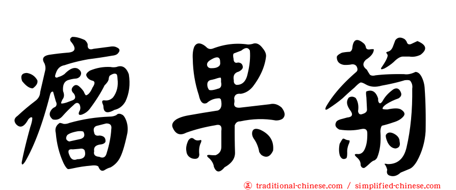 瘤果菊