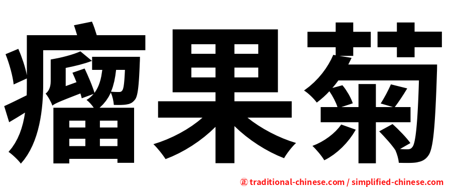 瘤果菊