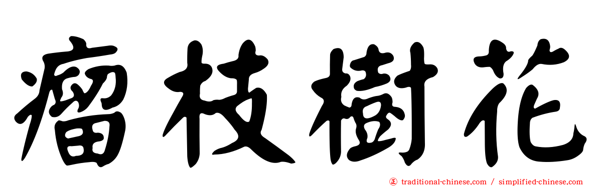 瘤枝樹花