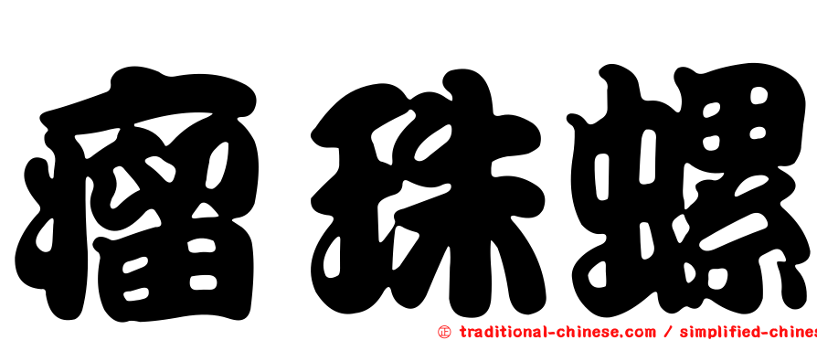 瘤珠螺