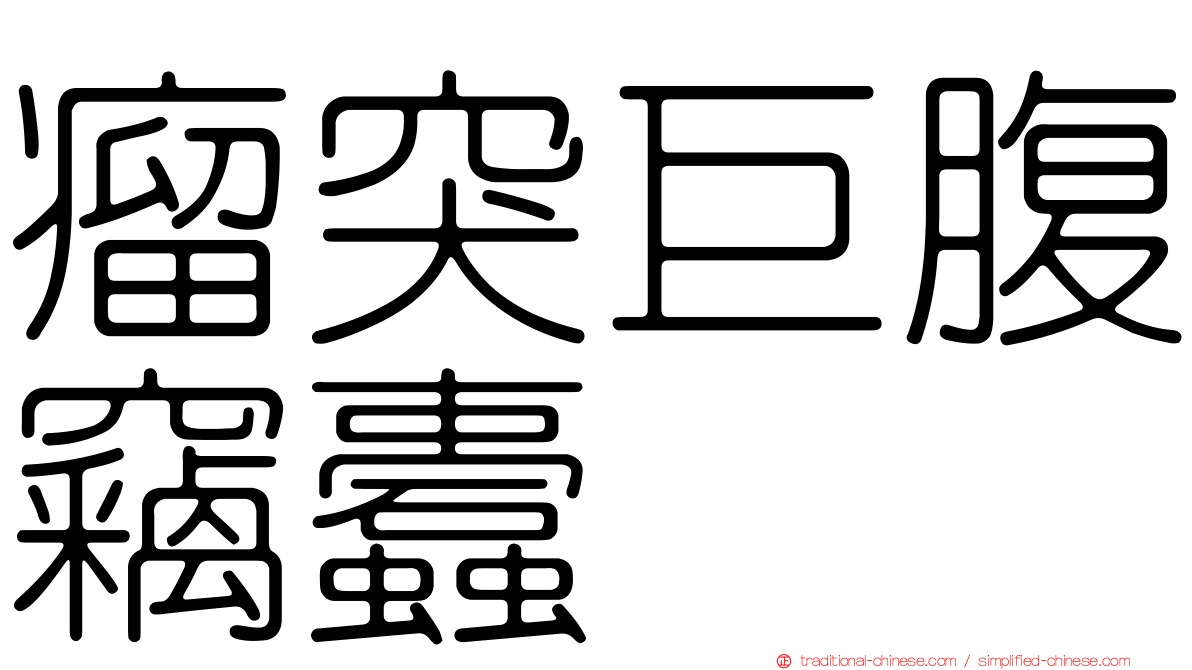 瘤突巨腹竊蠹