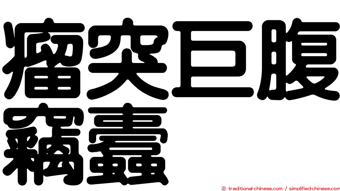 瘤突巨腹竊蠹