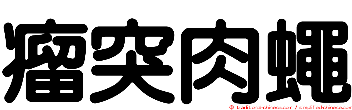 瘤突肉蠅